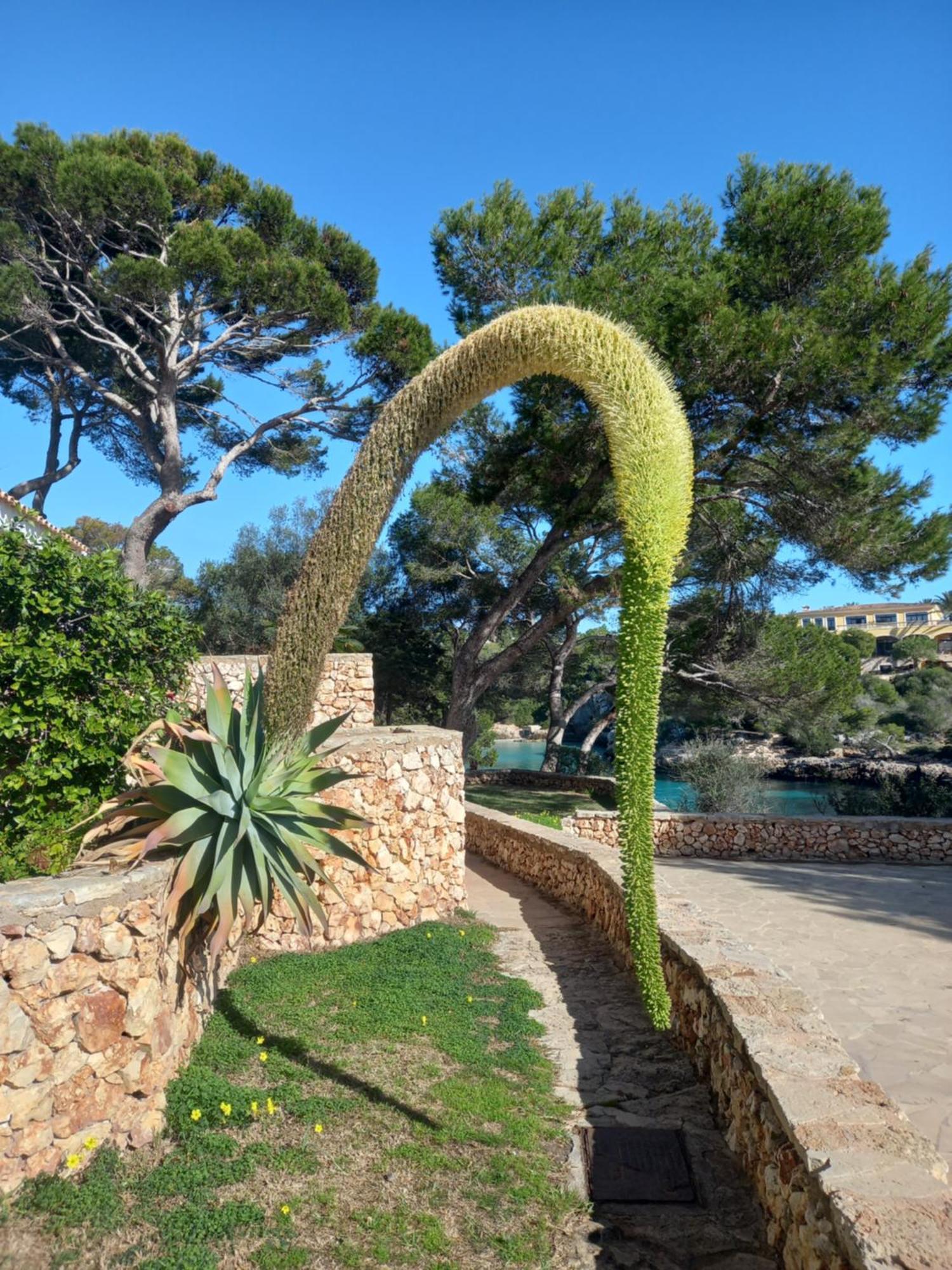 Appartement Ferrera Park Vue Mer Cala Ferrera  Buitenkant foto